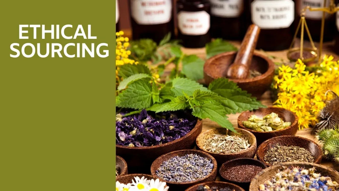 Why Ethical Sourcing Matters in Skincare | Sustainable Beauty by TLCforyou